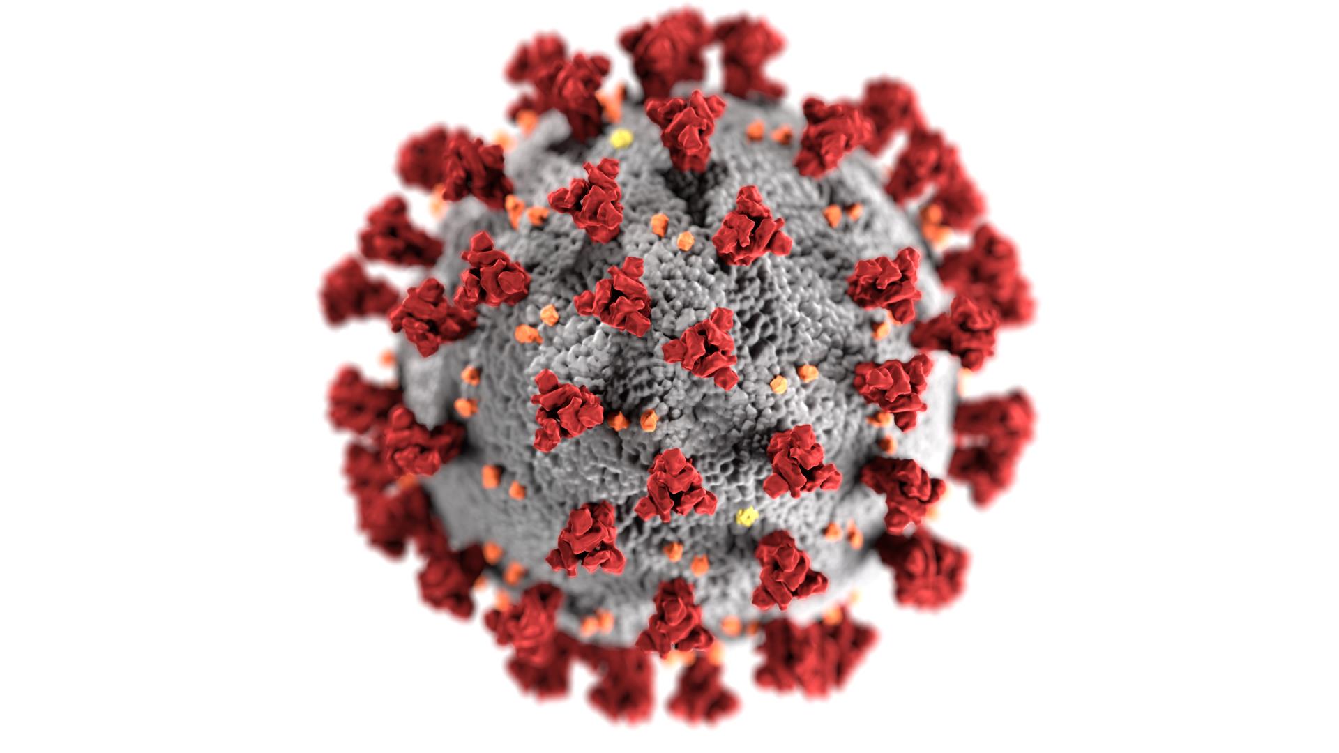 COVID-19 Virus