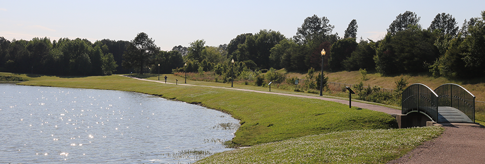 View-of-storywalk-path-May-2021