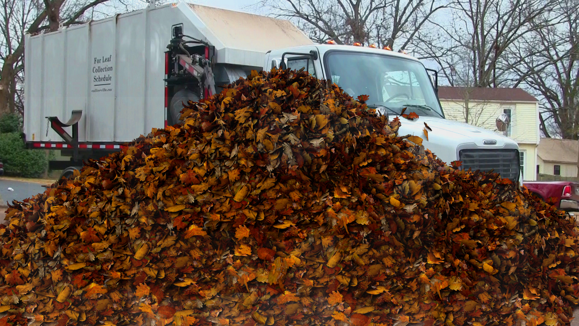 loose leaf truck_up to windshield in leaves