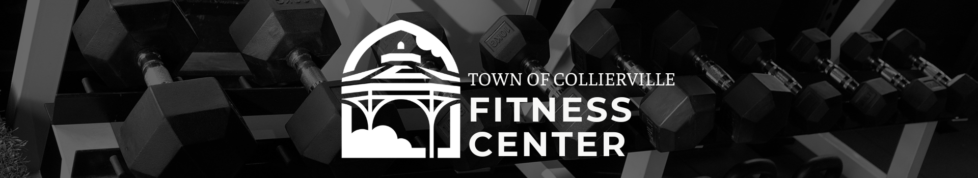 Fitness Center Website Banner Weights